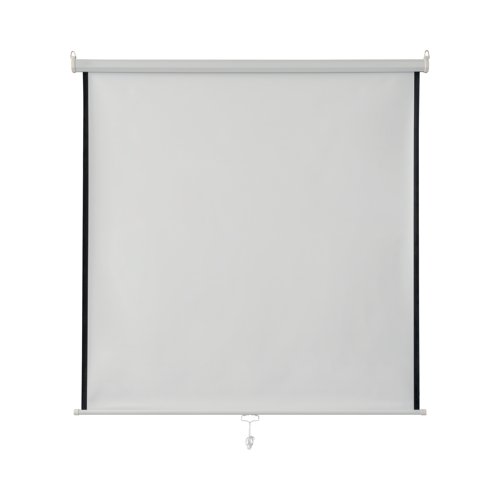 Wall/Ceiling Mounted Screens